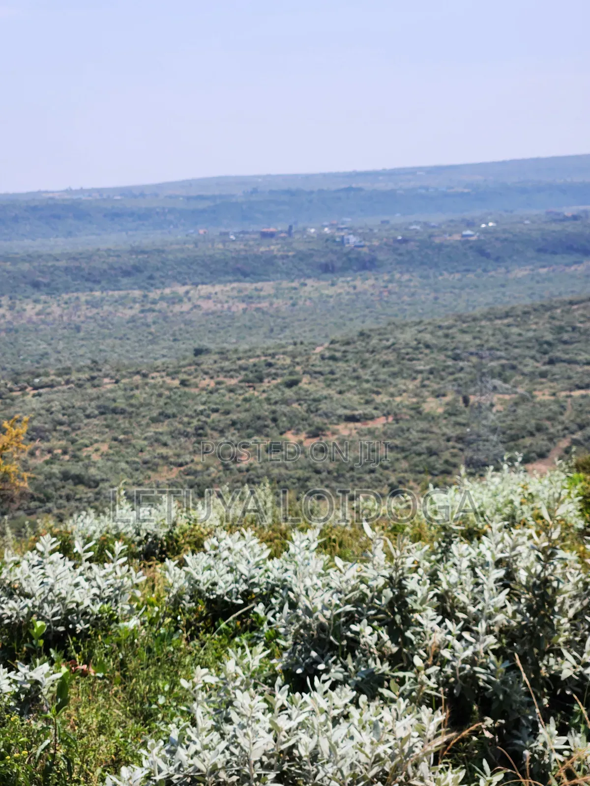 Ngong-Kimuka Town 1⁄8Acre Plots in Kibiku