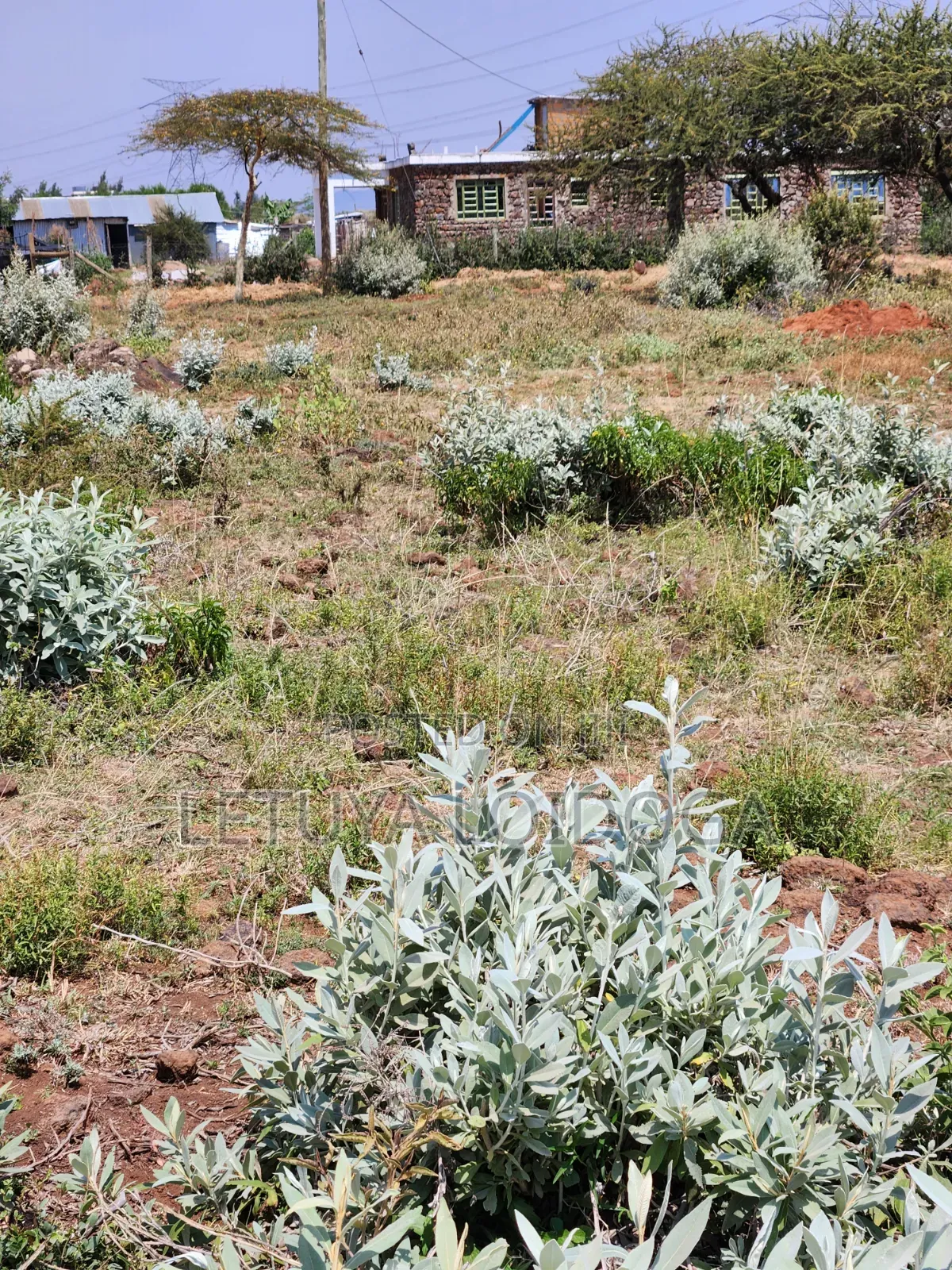 Ngong-Kimuka Town 1⁄8Acre Plots in Kibiku