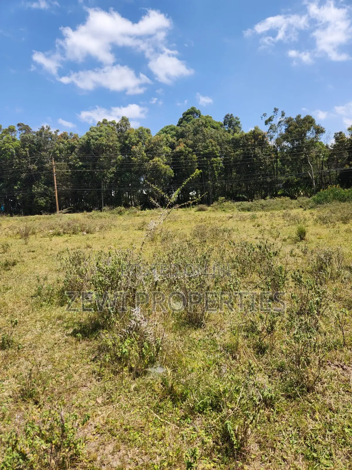 One Acre Karen in Karen C