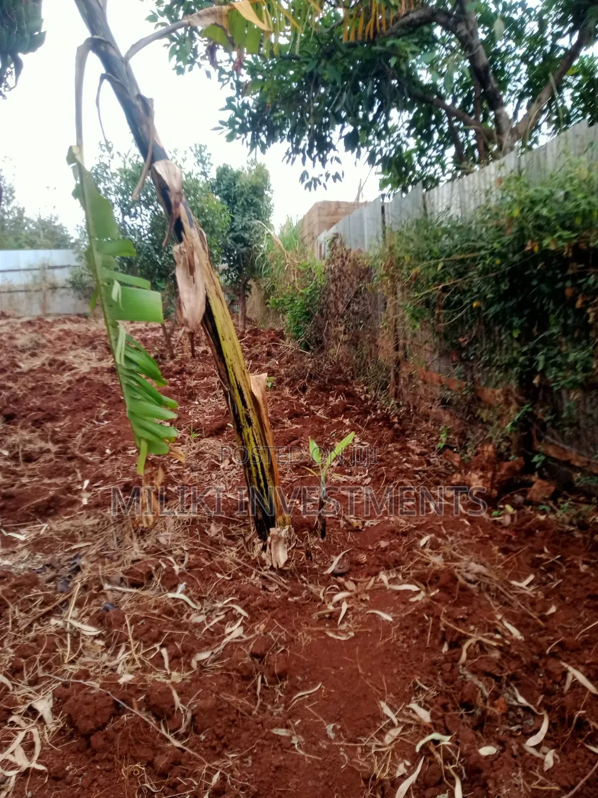 50 by 100'ft on Sale at Kenol-Murang'A in Kimorori/Wempa