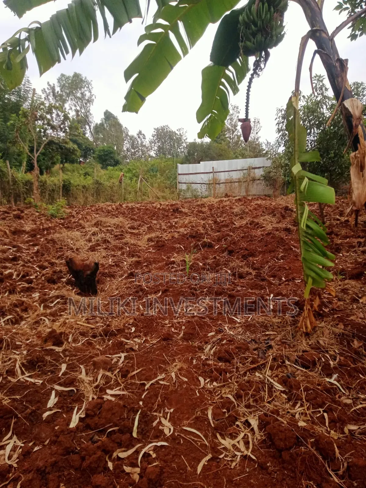 50 by 100'ft on Sale at Kenol-Murang'A in Kimorori/Wempa