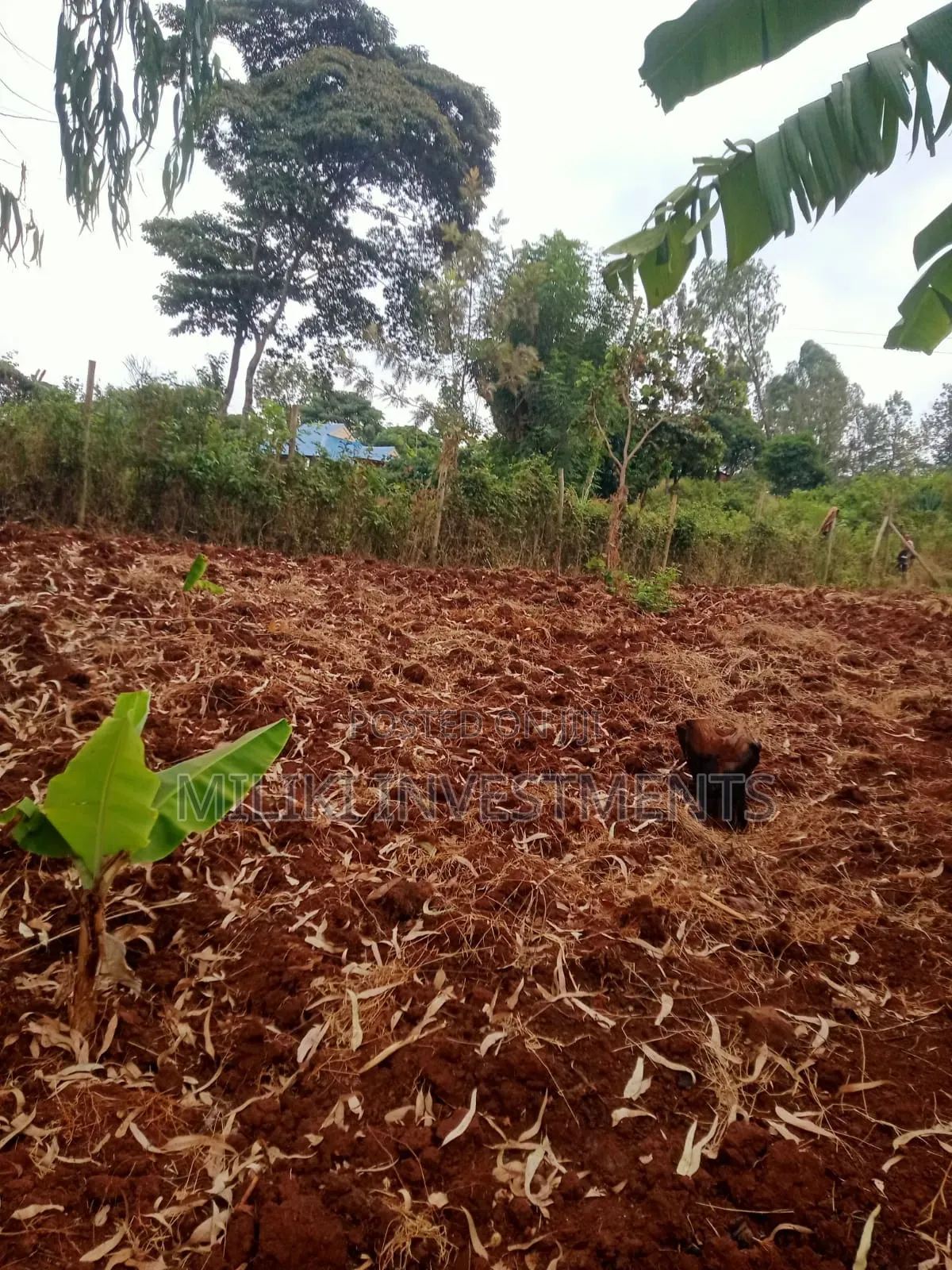 50 by 100'ft on Sale at Kenol-Murang'A in Kimorori/Wempa