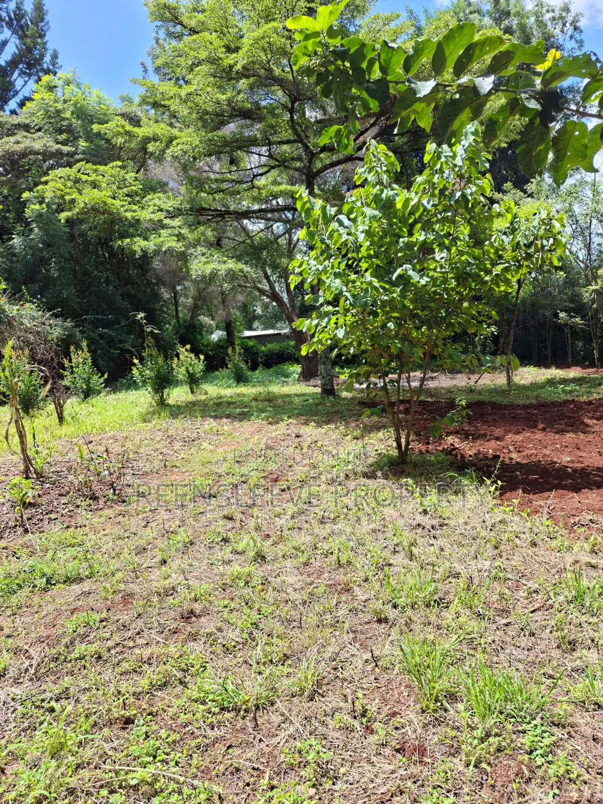 Land for Sale in Hardy
