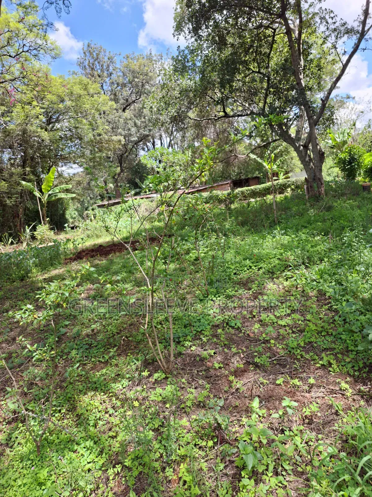 Land for Sale in Hardy