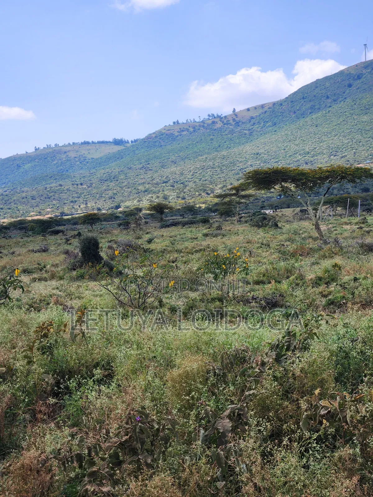 20 Acres Ngong,Kimuka, Ole Sakuda Road in Kibiku