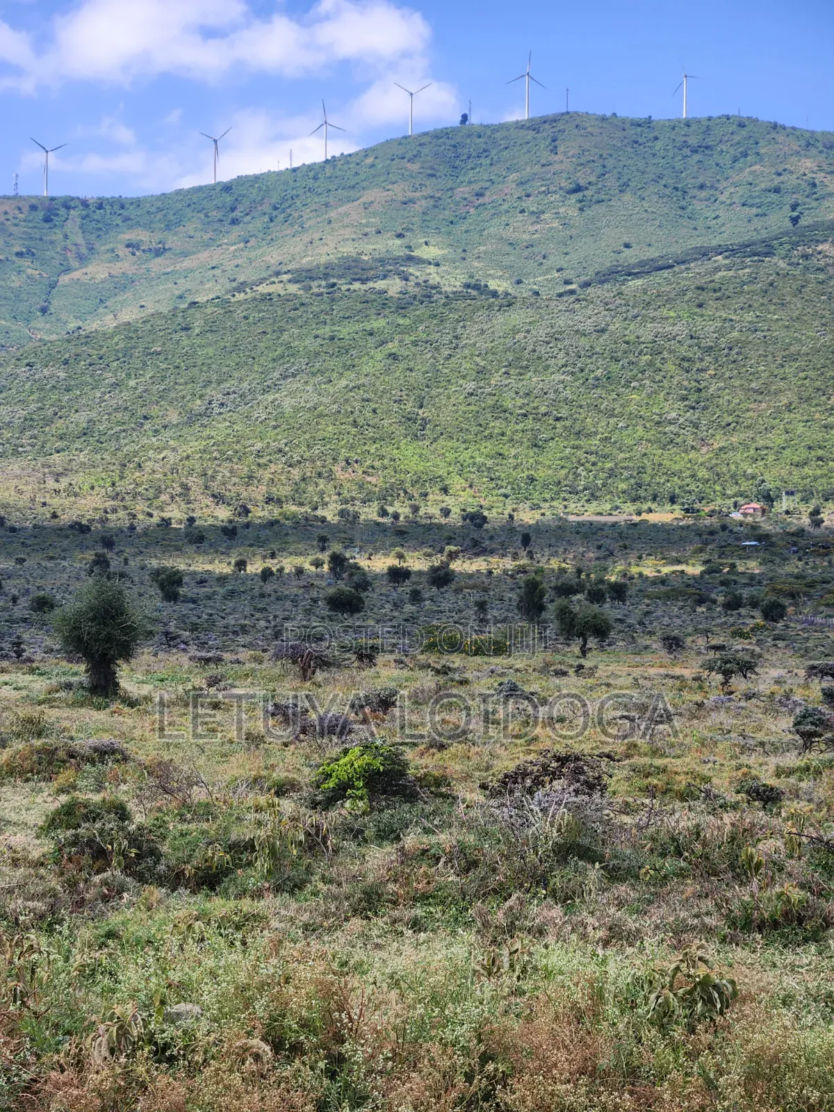 20 Acres Ngong,Kimuka, Ole Sakuda Road in Kibiku