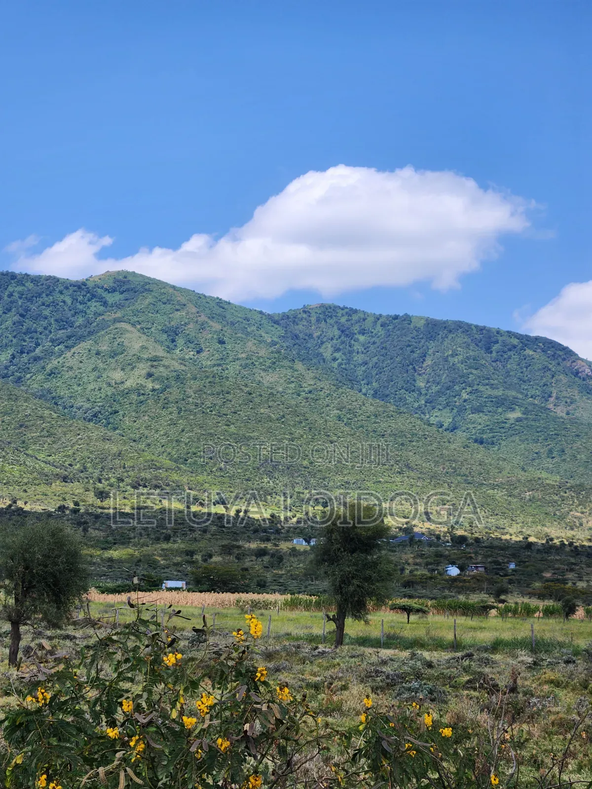 20 Acres Ngong,Kimuka, Ole Sakuda Road in Kibiku