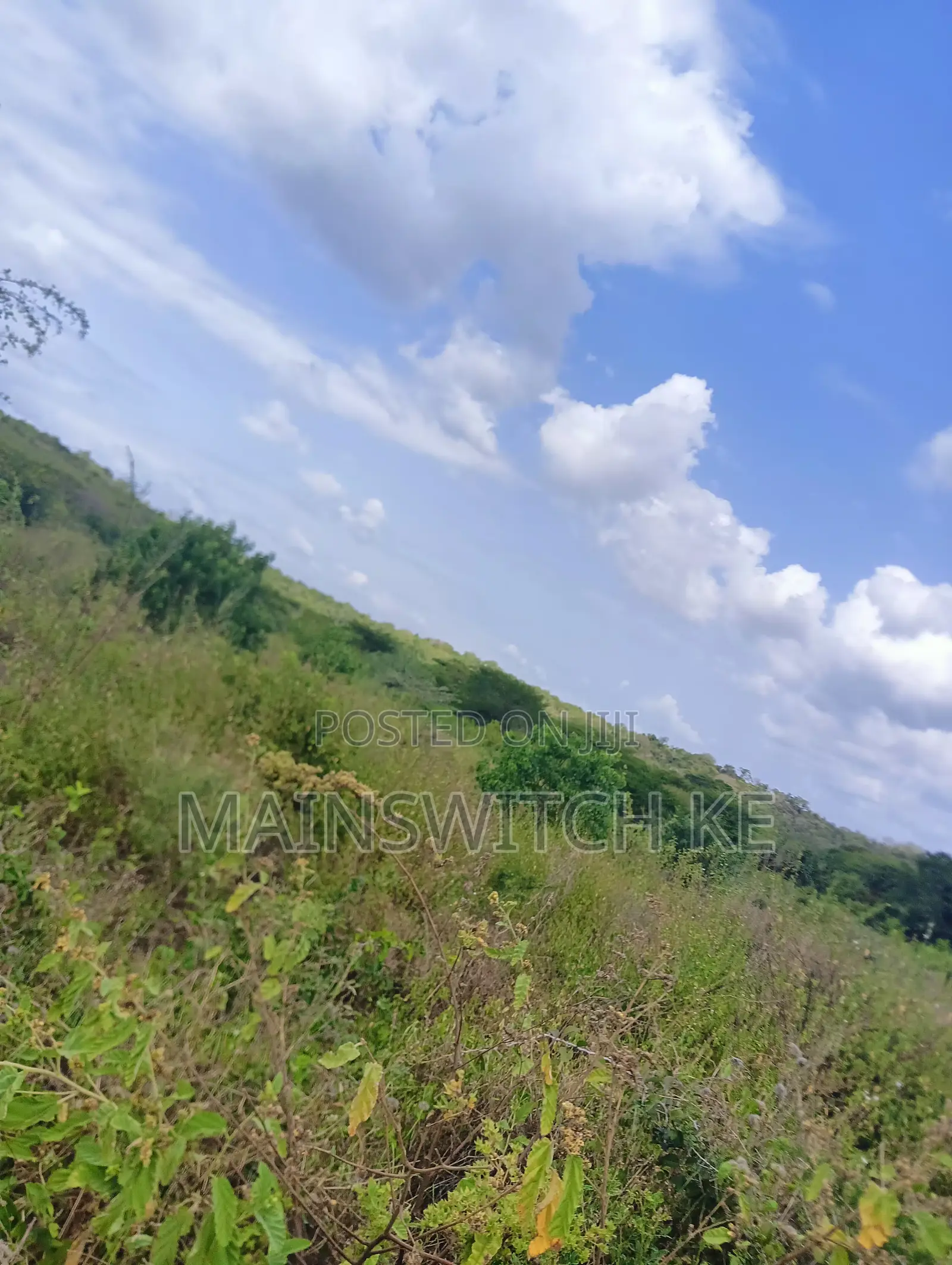 10 Acres With Adjudication Numbers Waiting for Tittle Deed for Sale in Marafa