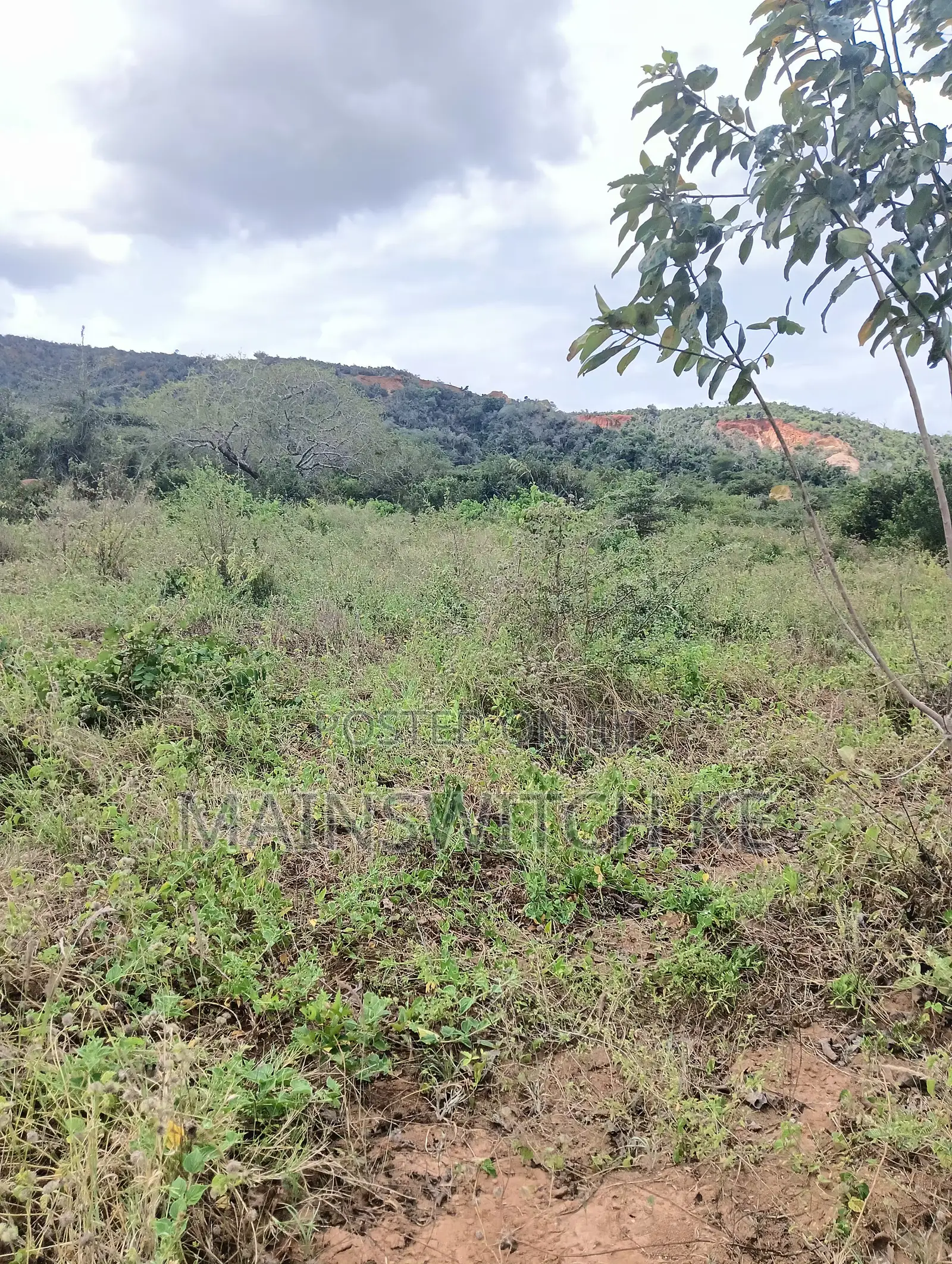 10 Acres With Adjudication Numbers Waiting for Tittle Deed for Sale in Marafa