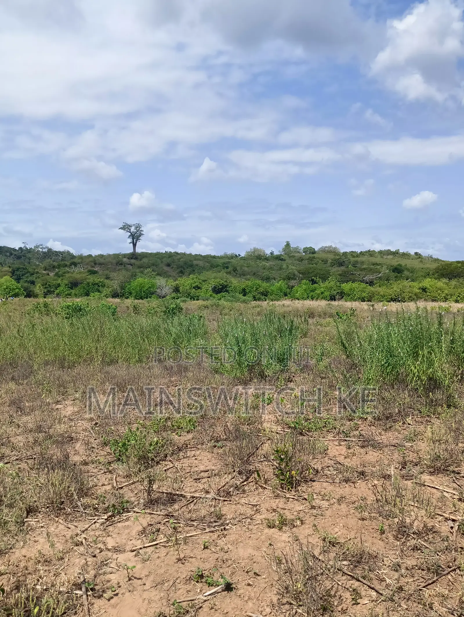 100 Acres With Numbers Waiting for Title Deed on Sale Now in Marafa