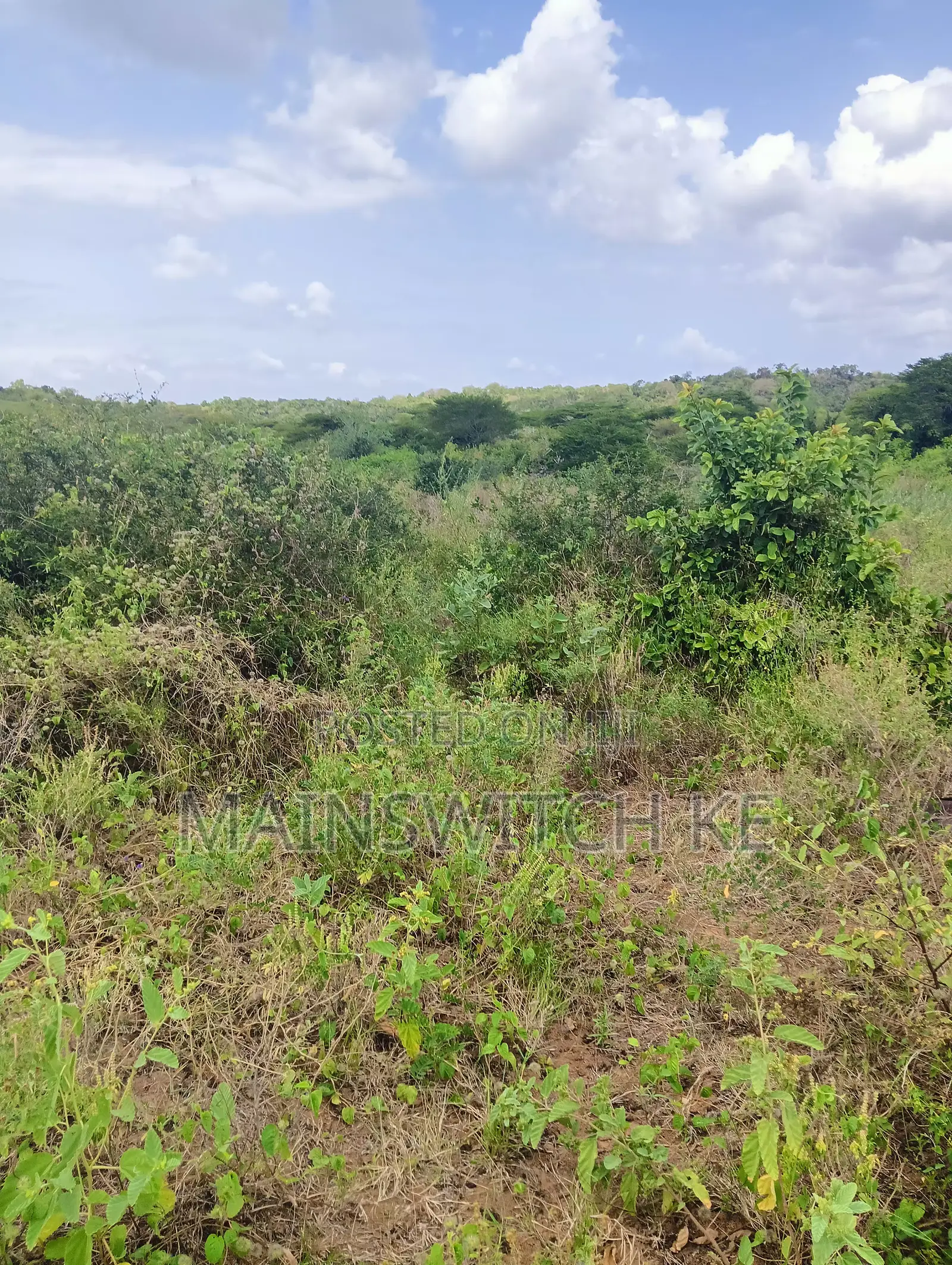 100 Acres With Numbers Waiting for Title Deed on Sale Now in Marafa