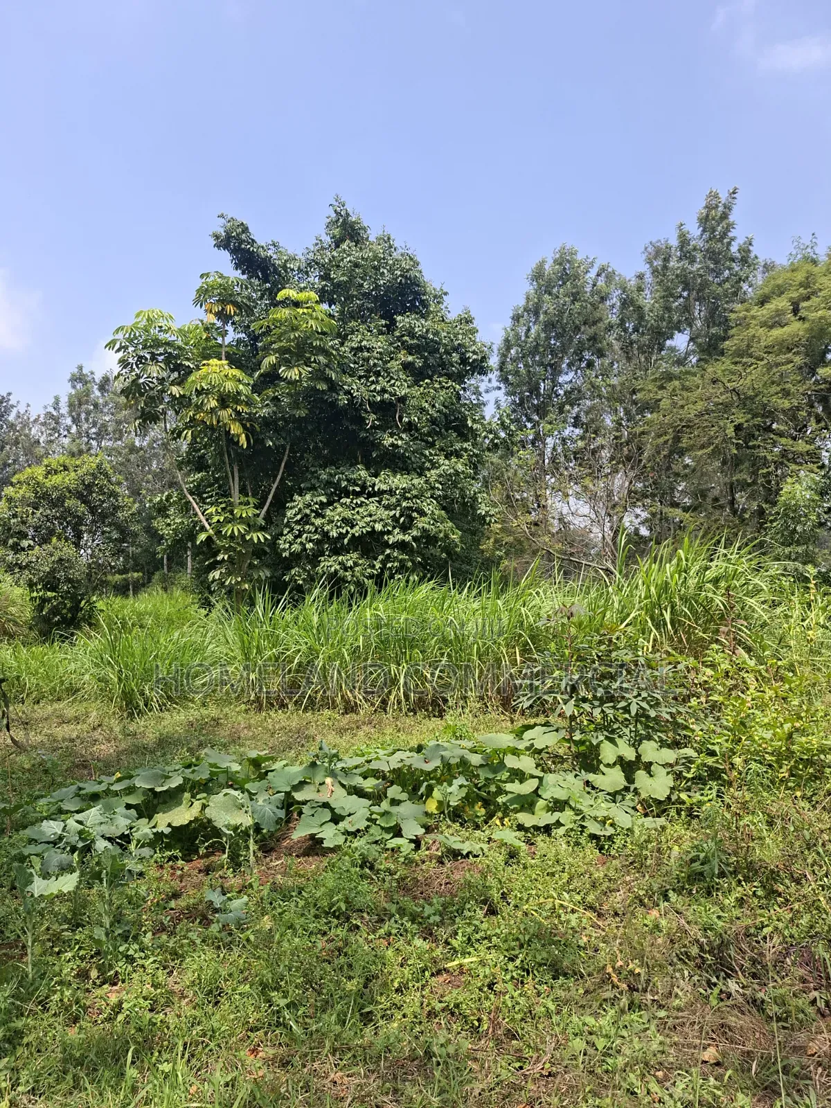 Land for Sale in Karen Fair Acres in Hardy