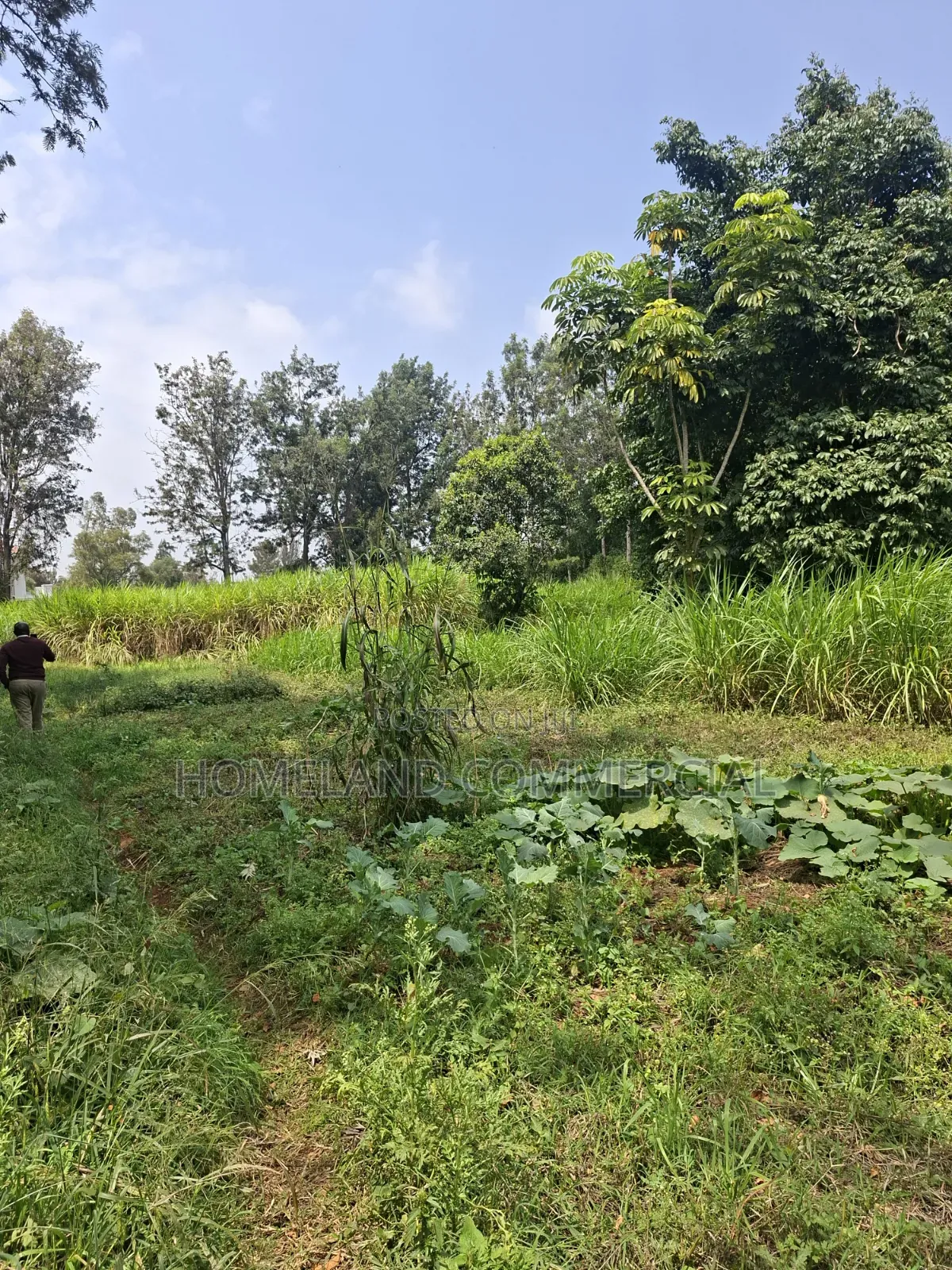 Land for Sale in Karen Fair Acres in Hardy