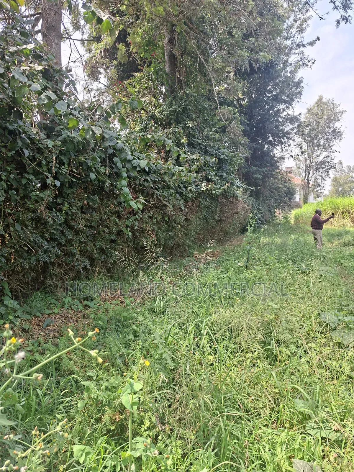 Land for Sale in Karen Fair Acres in Hardy