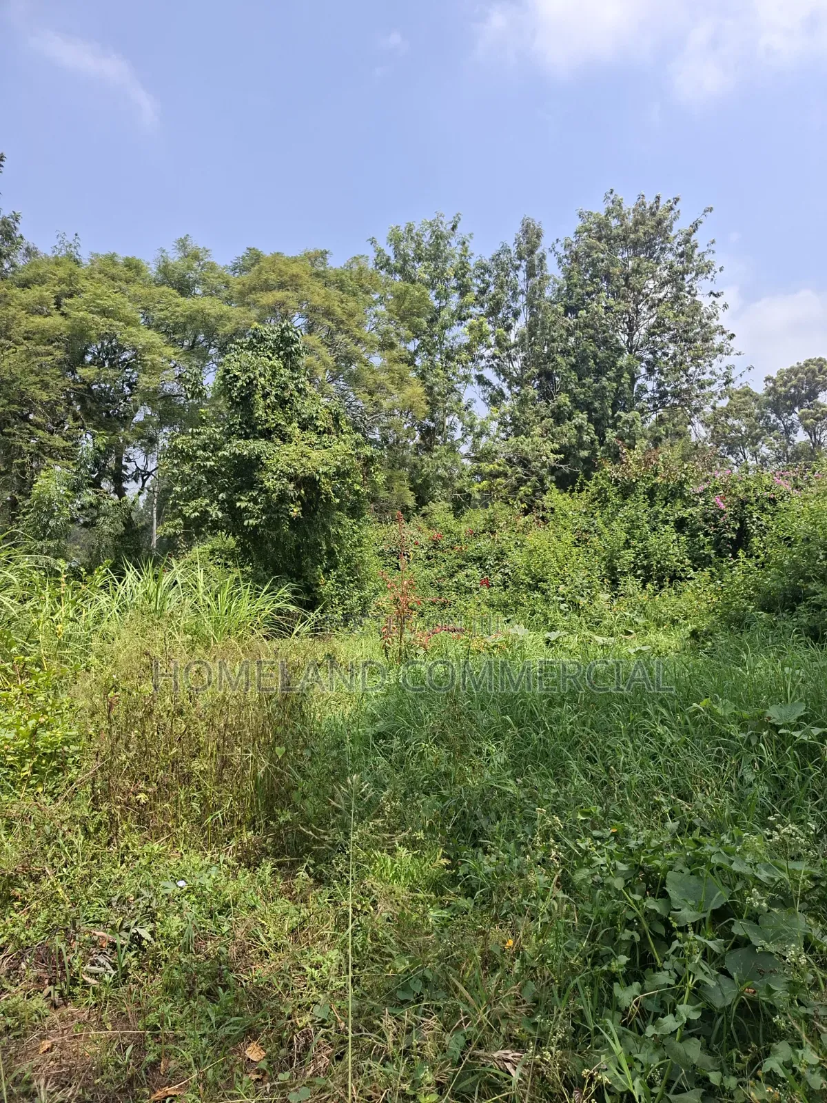 Land for Sale in Karen Fair Acres in Hardy