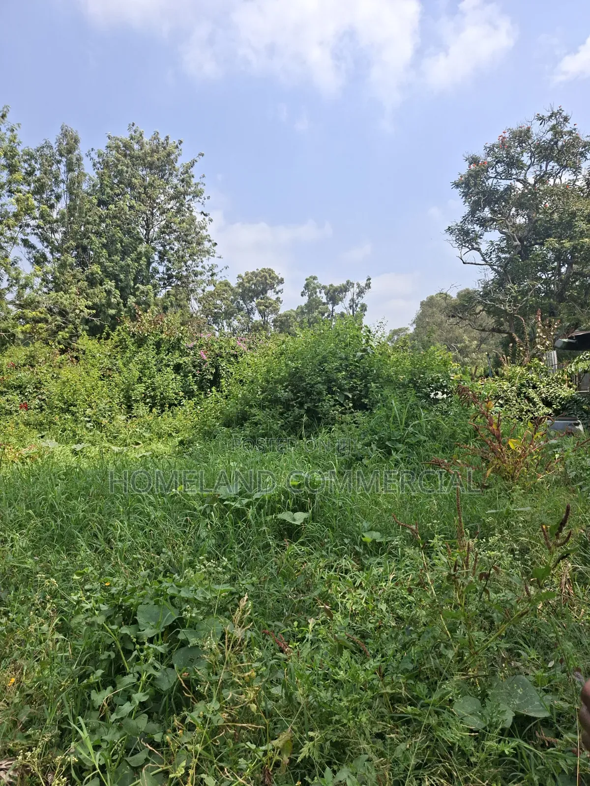 Land for Sale in Karen Fair Acres in Hardy