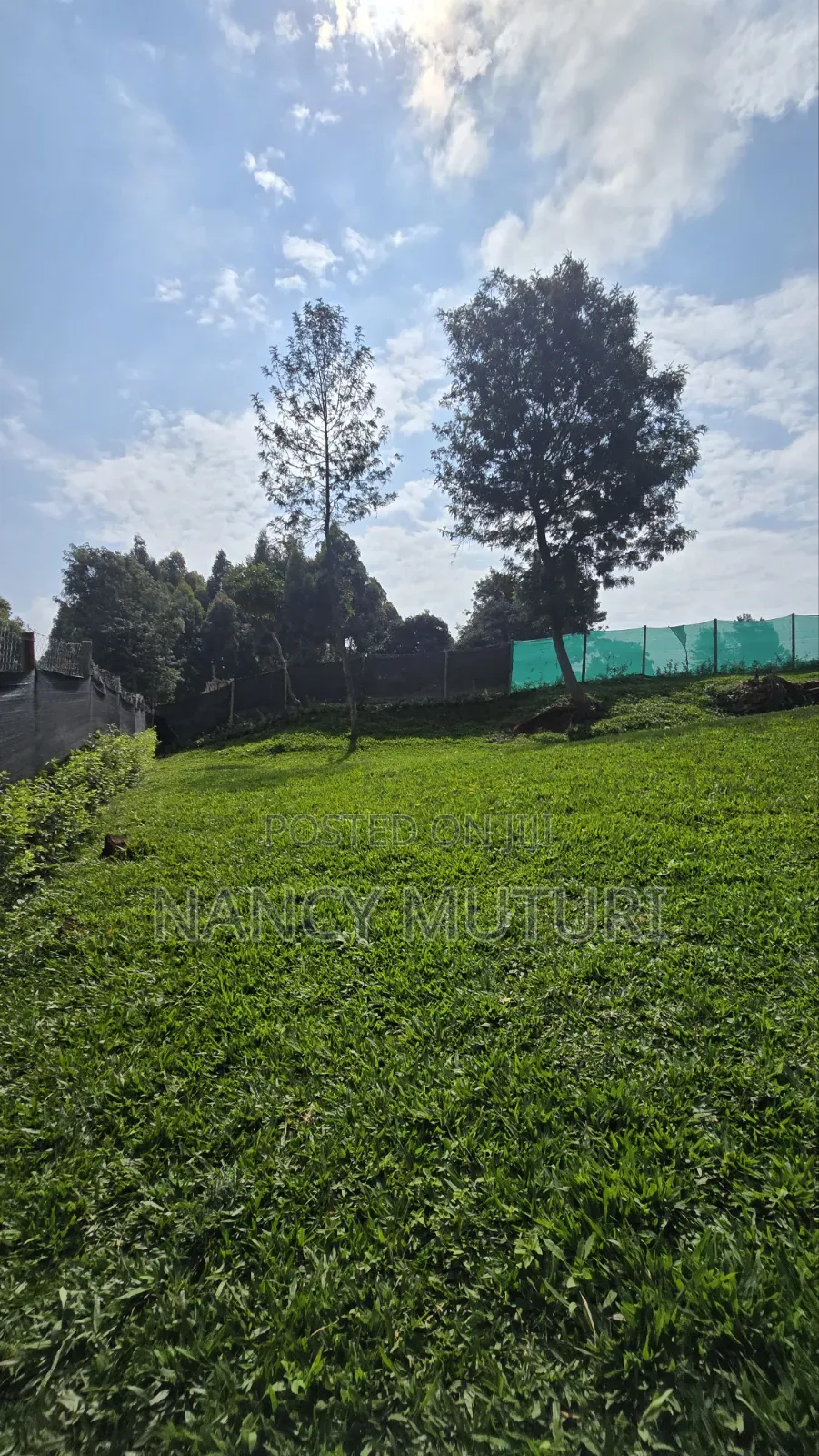 3bdrm Bungalow in Tigoni for rent in Tigoni