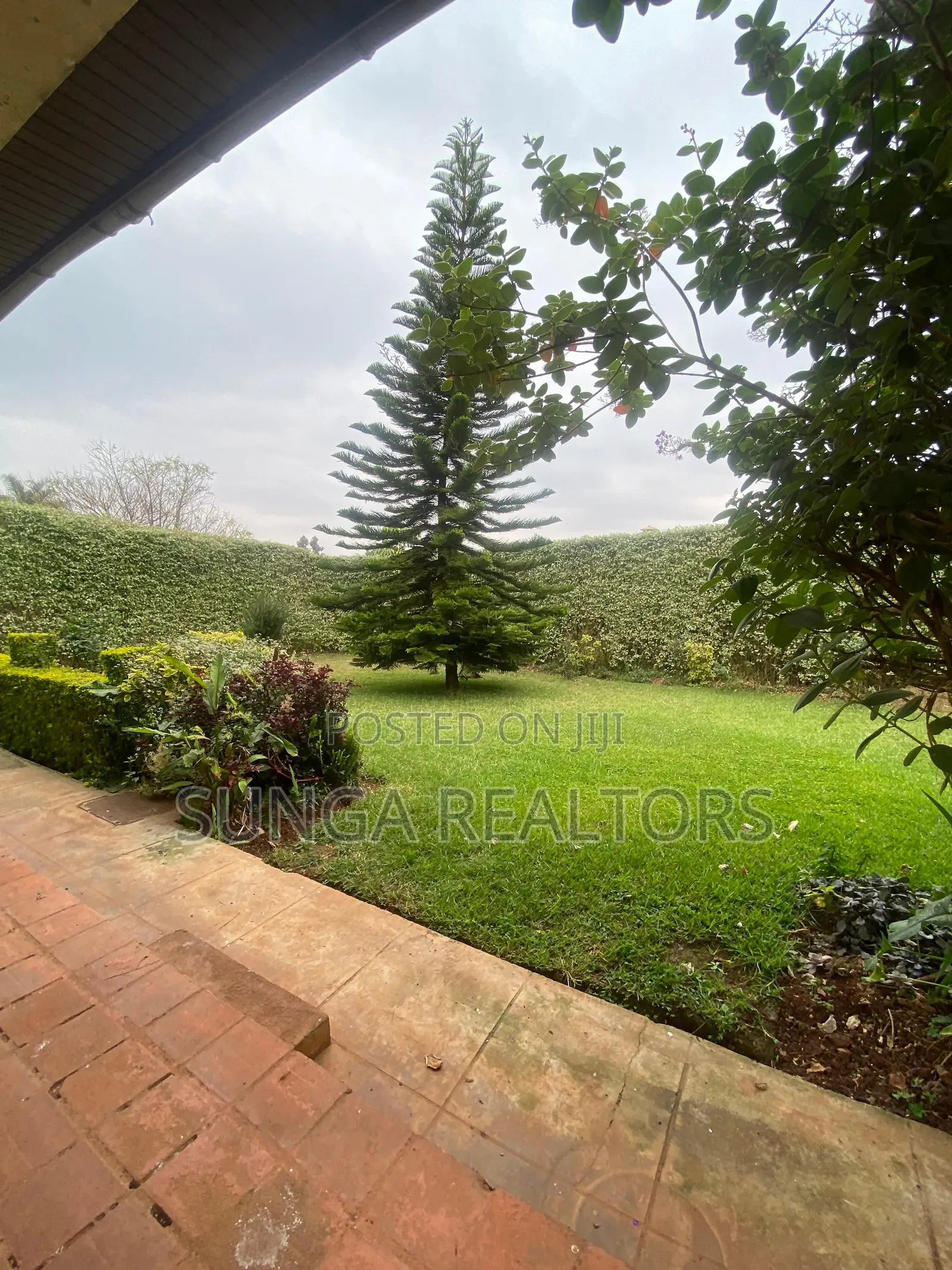 4bdrm House in Tigoni for rent in Tigoni