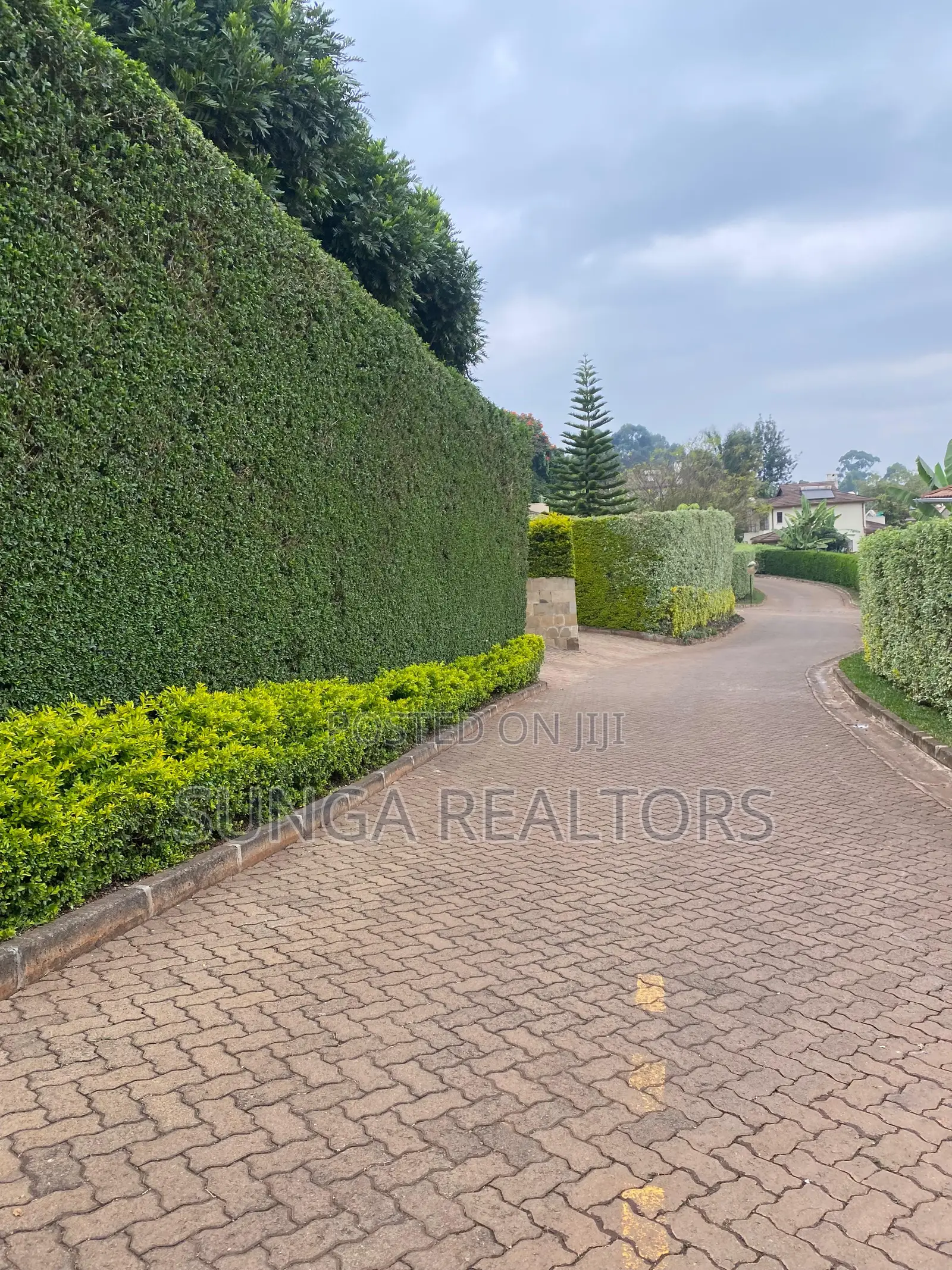 4bdrm House in Tigoni for rent in Tigoni