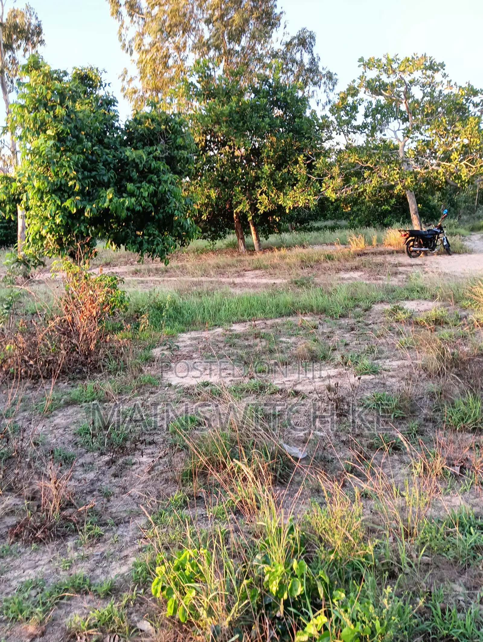 Half an Acre With Adjudication Number 50 Meters From Tarmac Road in Marafa