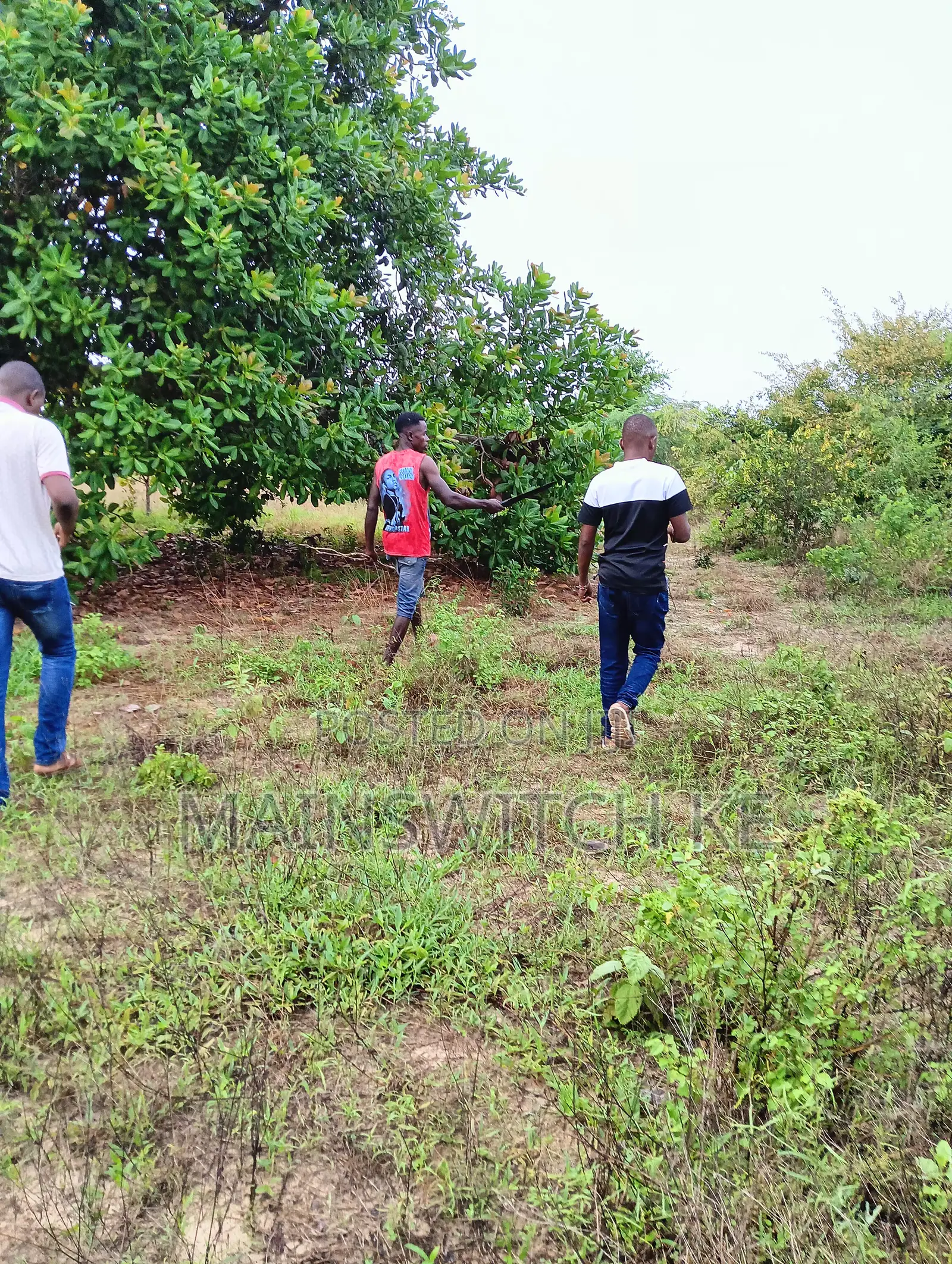4 Acres 50 Meters From Tarmac Road With Adjudication Number in Marafa