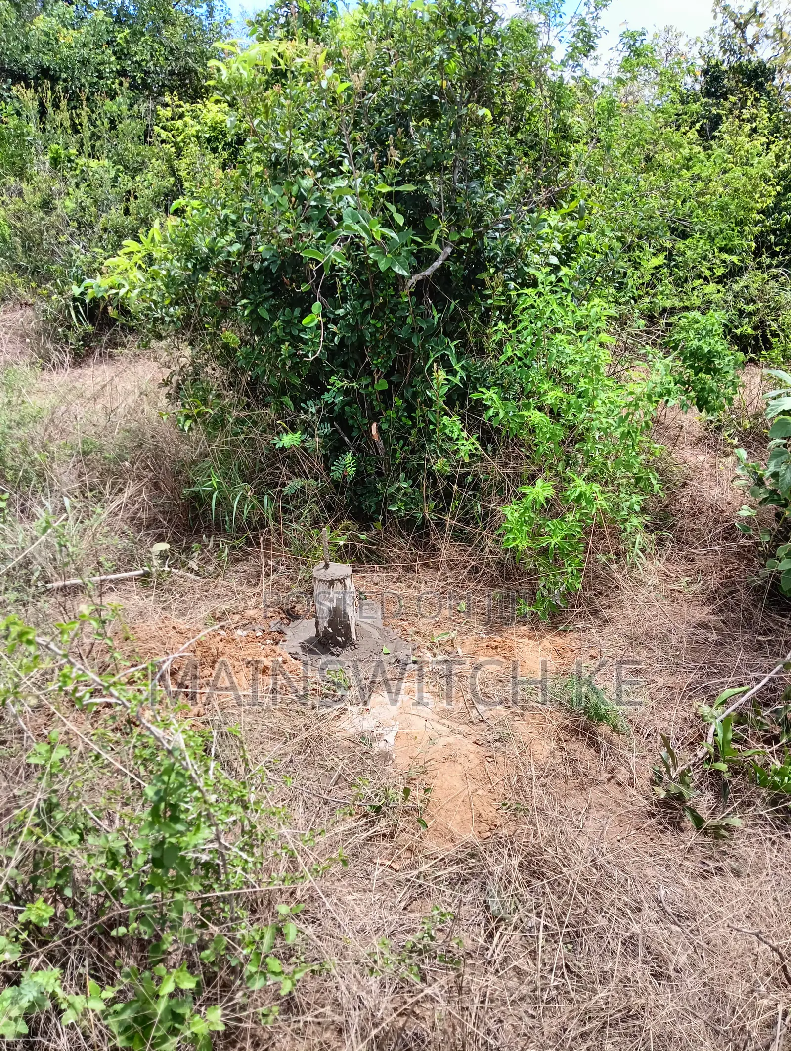 4 Acres 50 Meters From Tarmac Road With Adjudication Number in Marafa