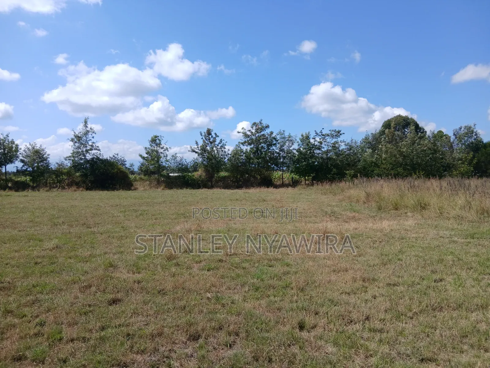 3 Acreas Nanyuki Behind Airstrip Distress Sale in Nanyuki