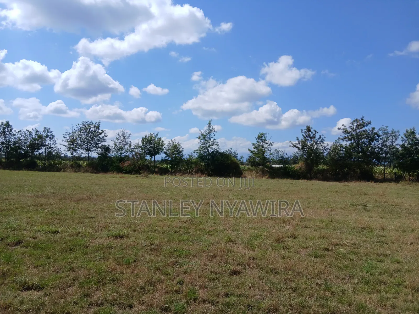 3 Acreas Nanyuki Behind Airstrip Distress Sale in Nanyuki