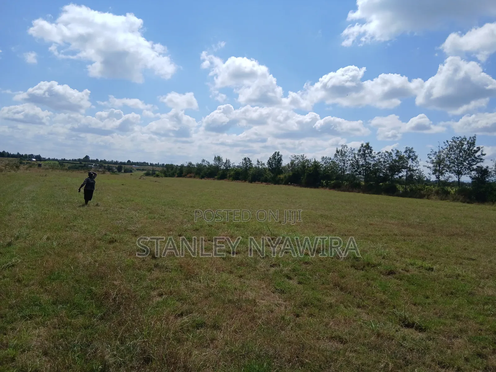 3 Acreas Nanyuki Behind Airstrip Distress Sale in Nanyuki