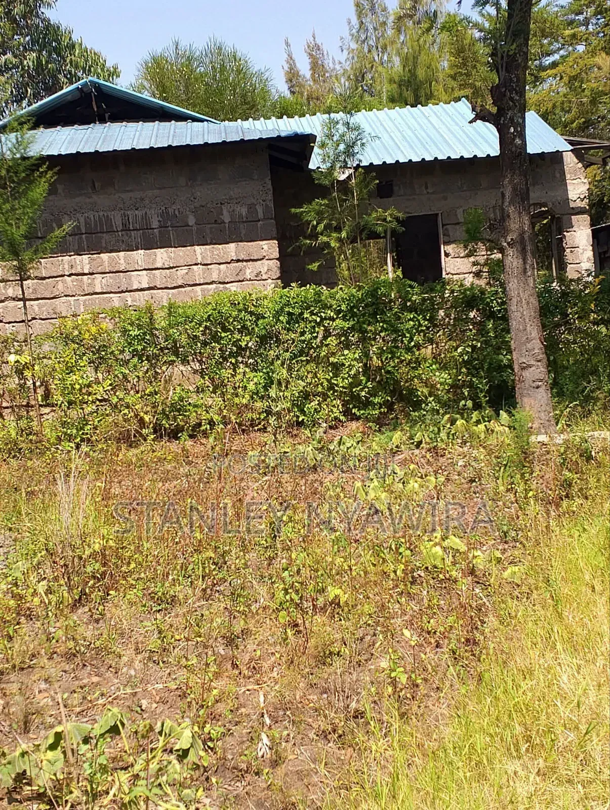 Plot With 3 Bedroom House Nanyuki Gatheri in Nanyuki