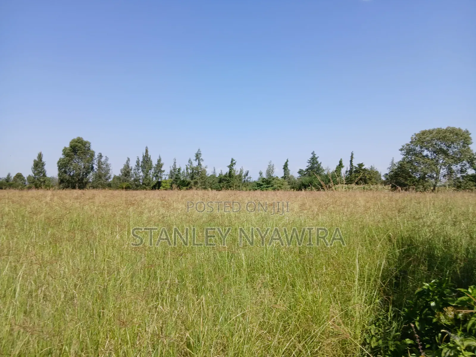 2 Acreas Behind Nanyuki Airstrip in Nanyuki