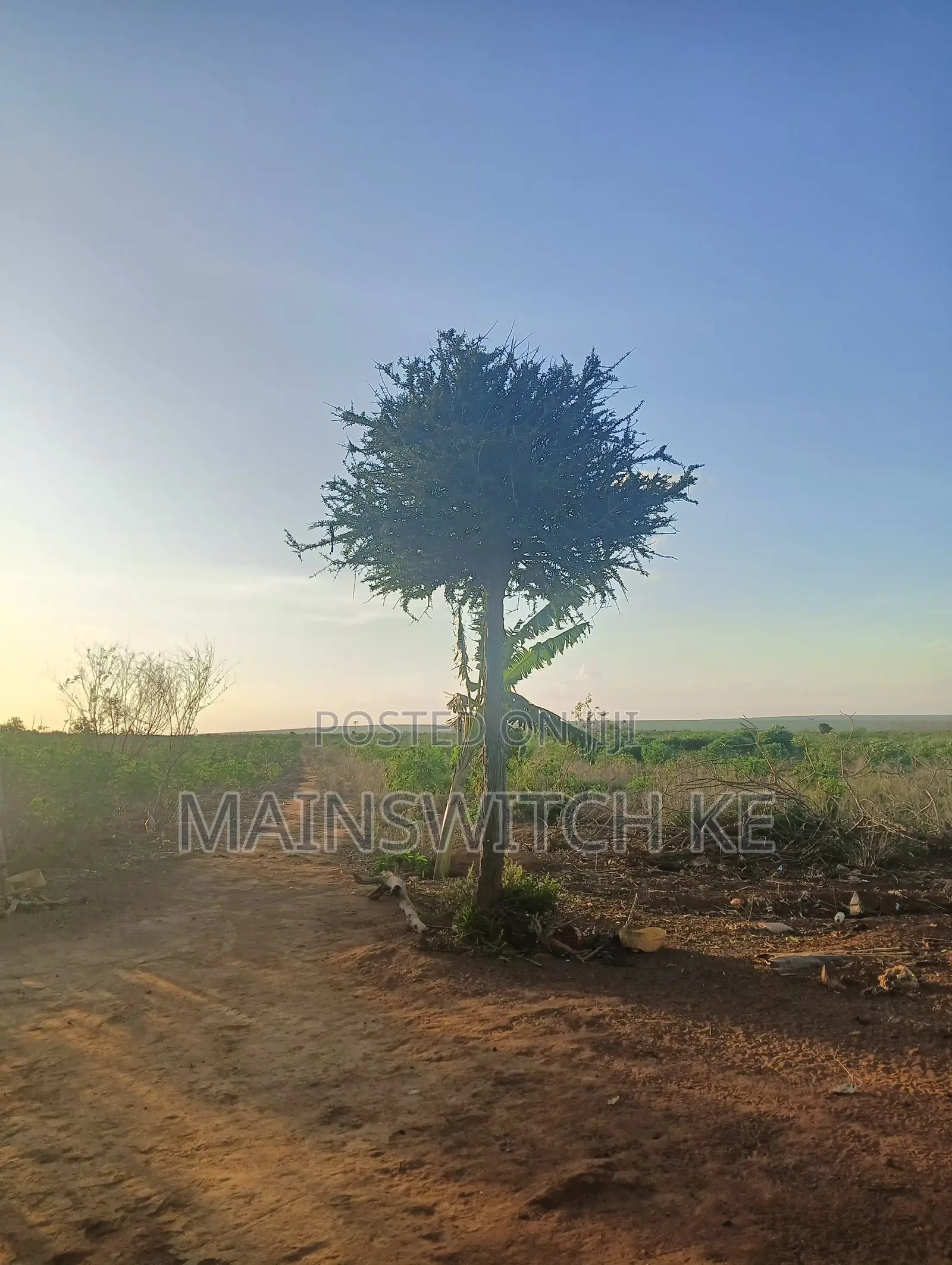 53 Acres Land in Marafa