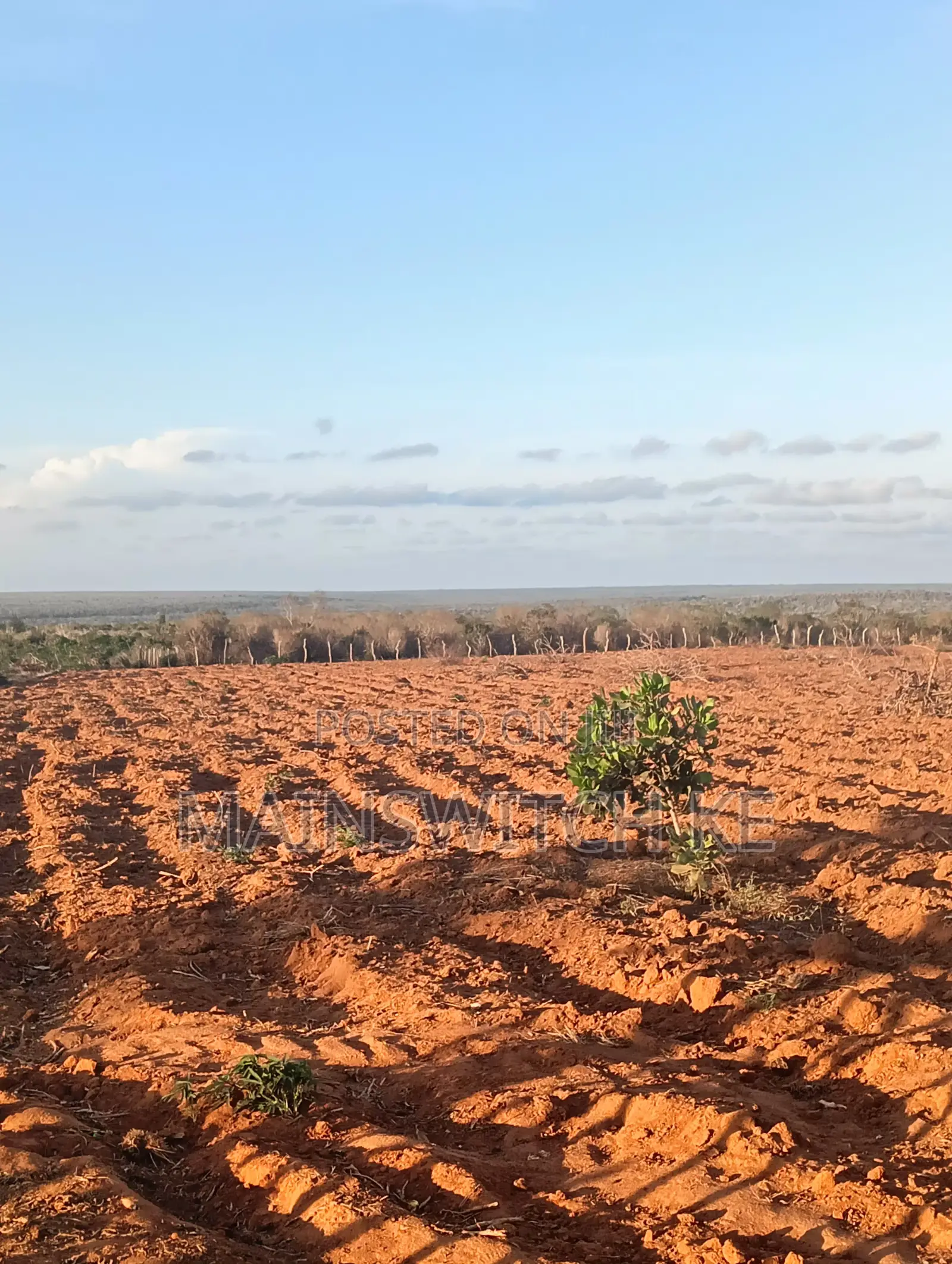 53 Acres Land in Marafa