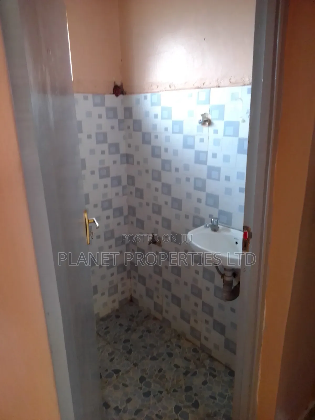 1bdrm Apartment in Serene, Ruaka for rent in Ruaka