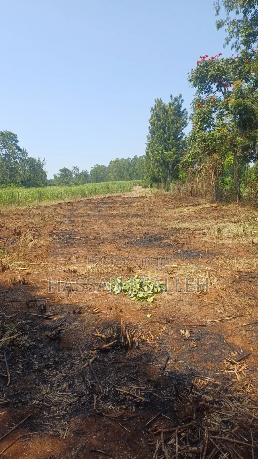 1/2An Acre Matungu. in Mayoni