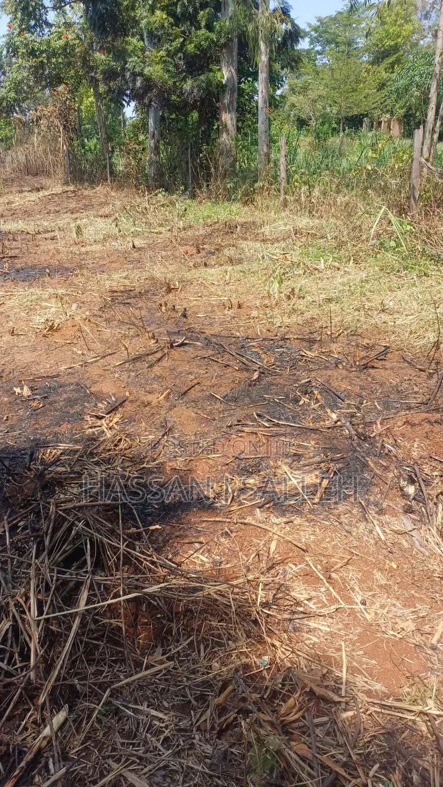 1/2An Acre Matungu. in Mayoni