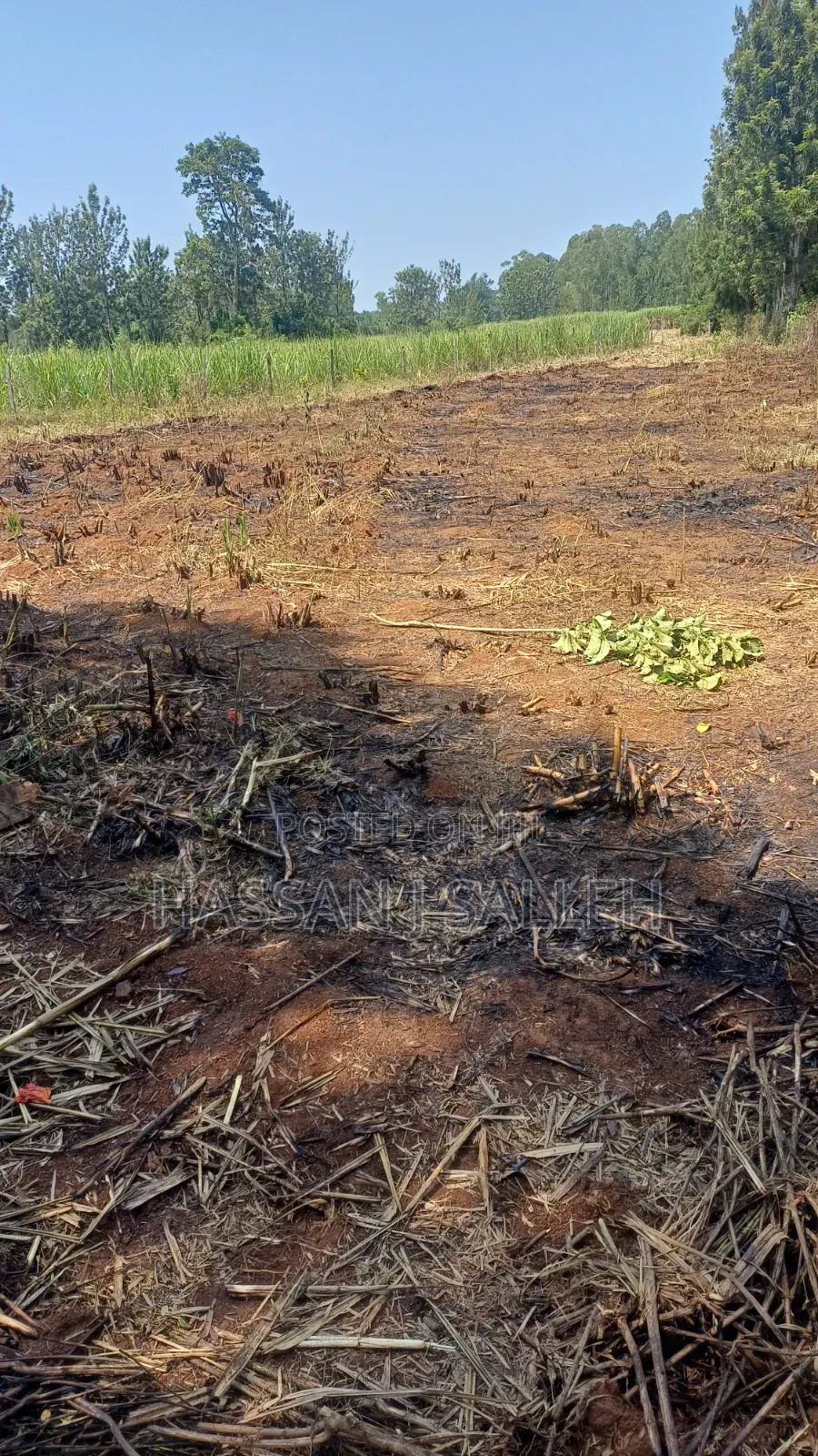1/2An Acre Matungu. in Mayoni