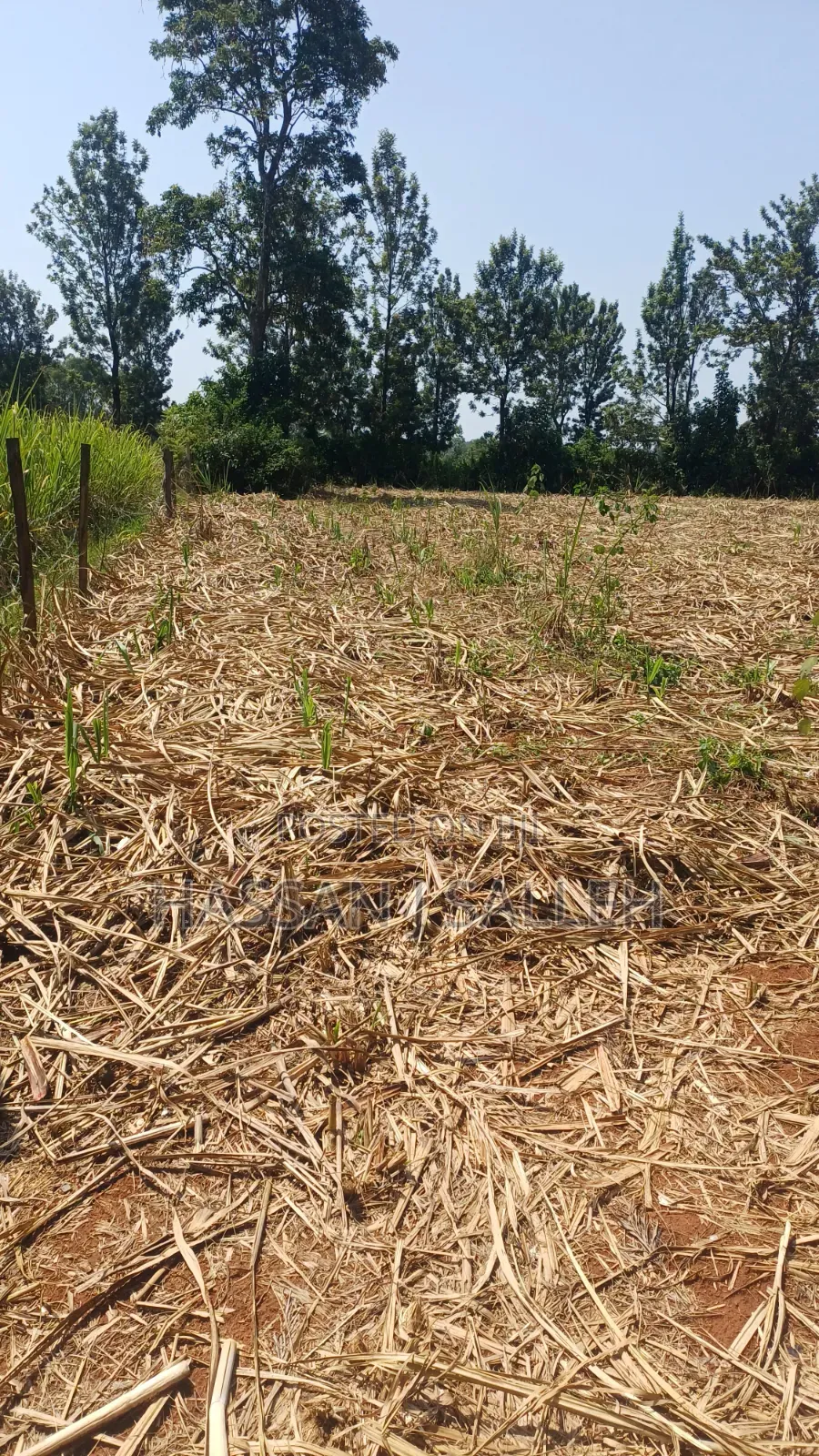 1/2An Acre Matungu. in Mayoni