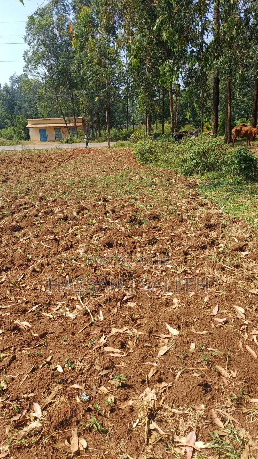 Plot for Sale Matungu in Mayoni