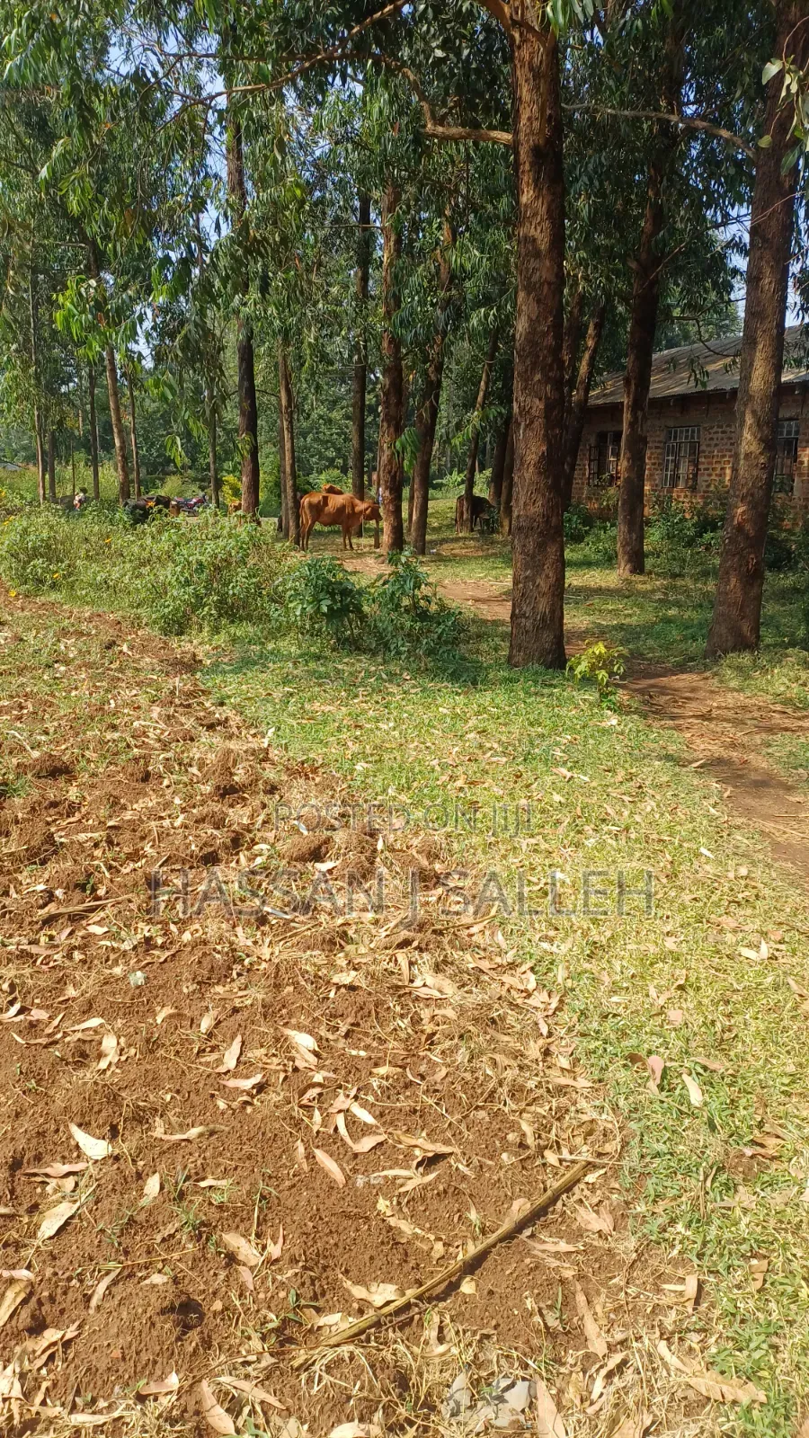 Plot for Sale Matungu in Mayoni