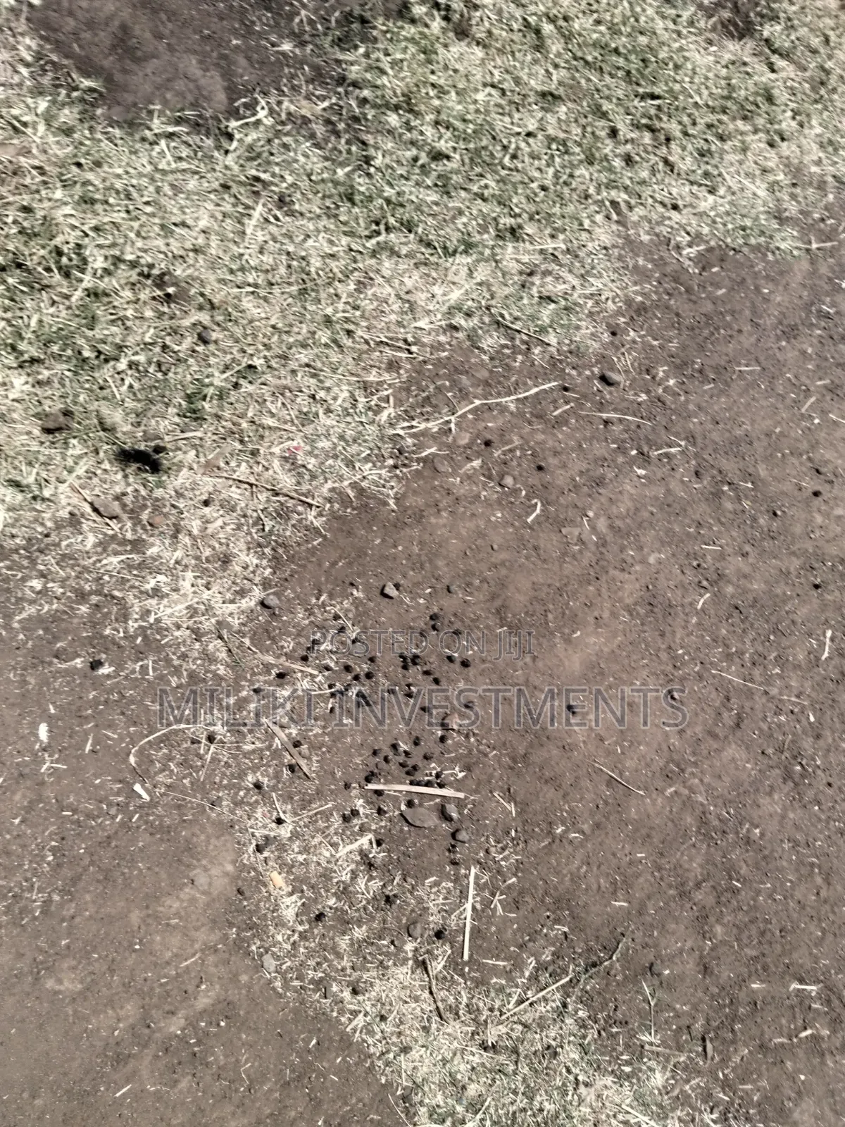 50 by 100 Ft Plot on Sale at Mwiki -Daykio in Njiru