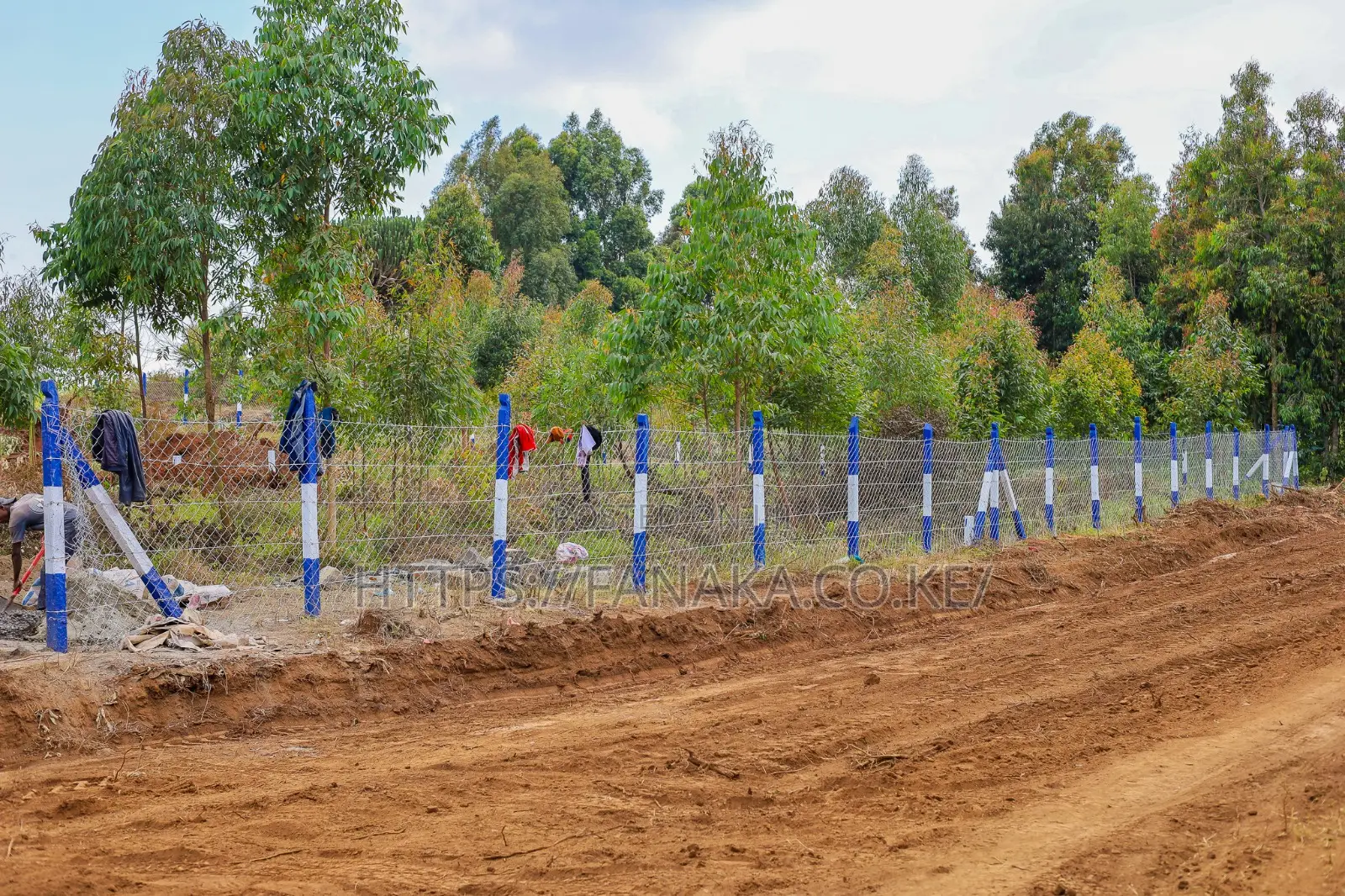 50 by 100 Plots in Kikuyu ^MW in Kibiku