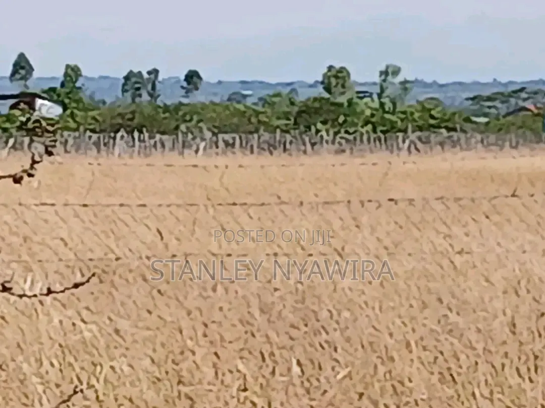 9 Acreas Nanyuki Burgret in Nanyuki