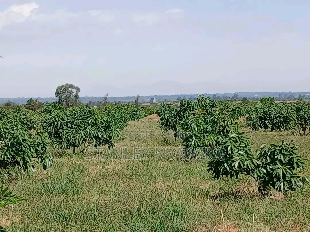 9 Acreas Nanyuki Burgret in Nanyuki