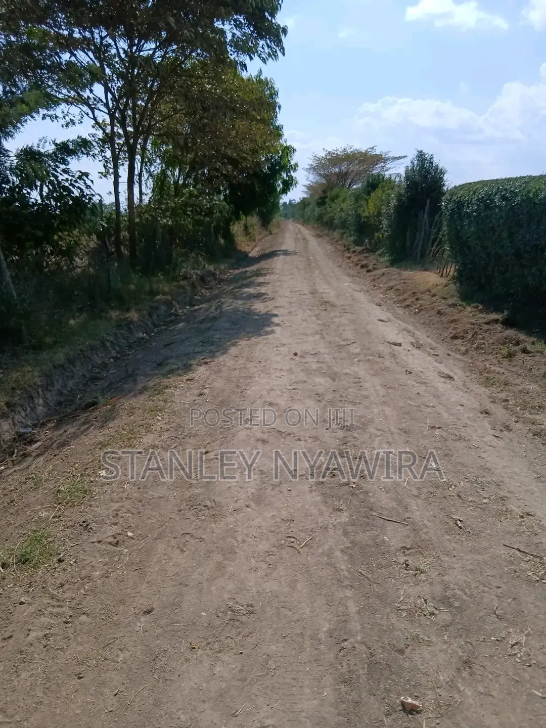 9 Acreas Nanyuki Burgret in Nanyuki