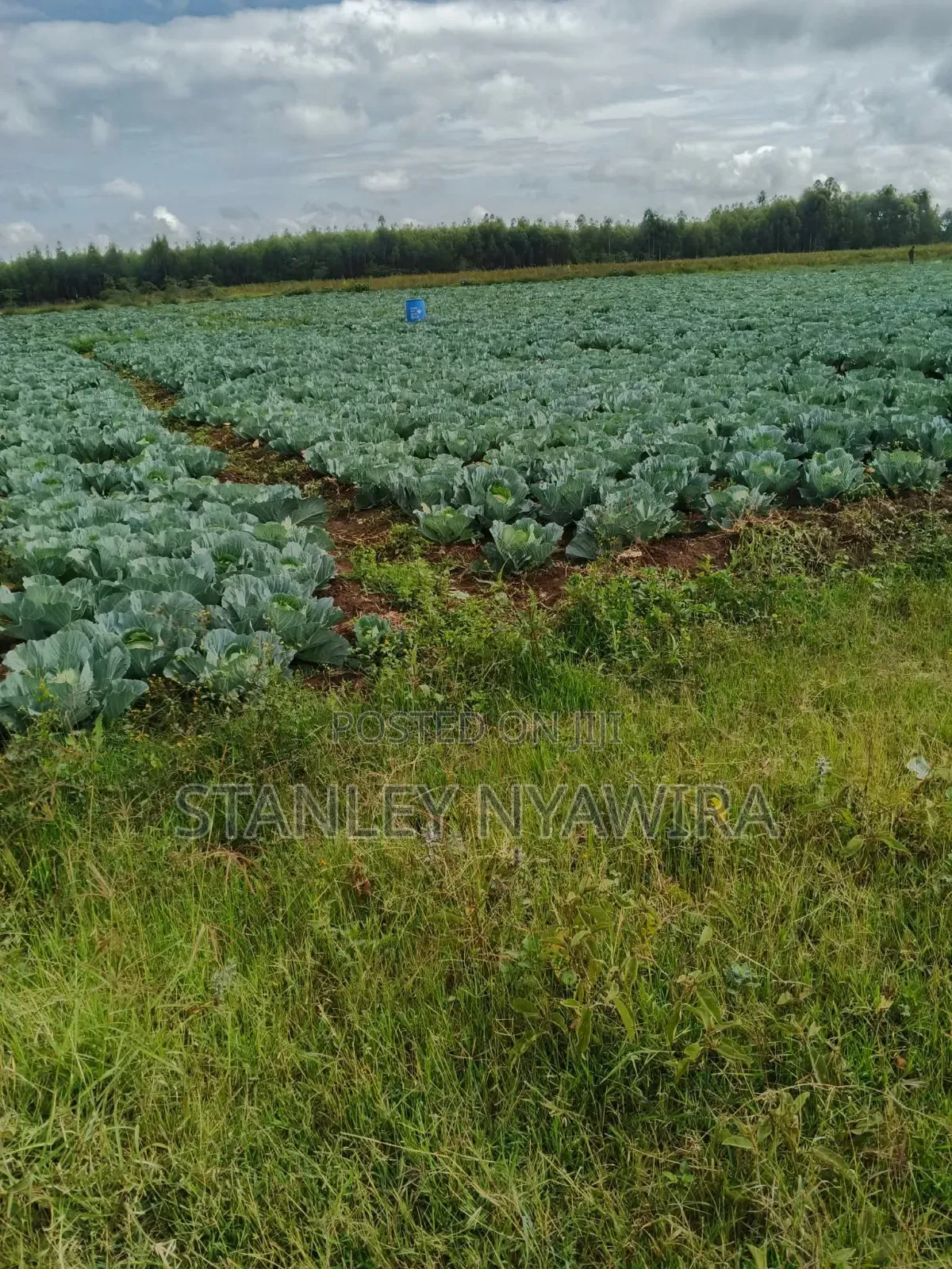 2 Acrea Narumoro Solio in Laikipia East