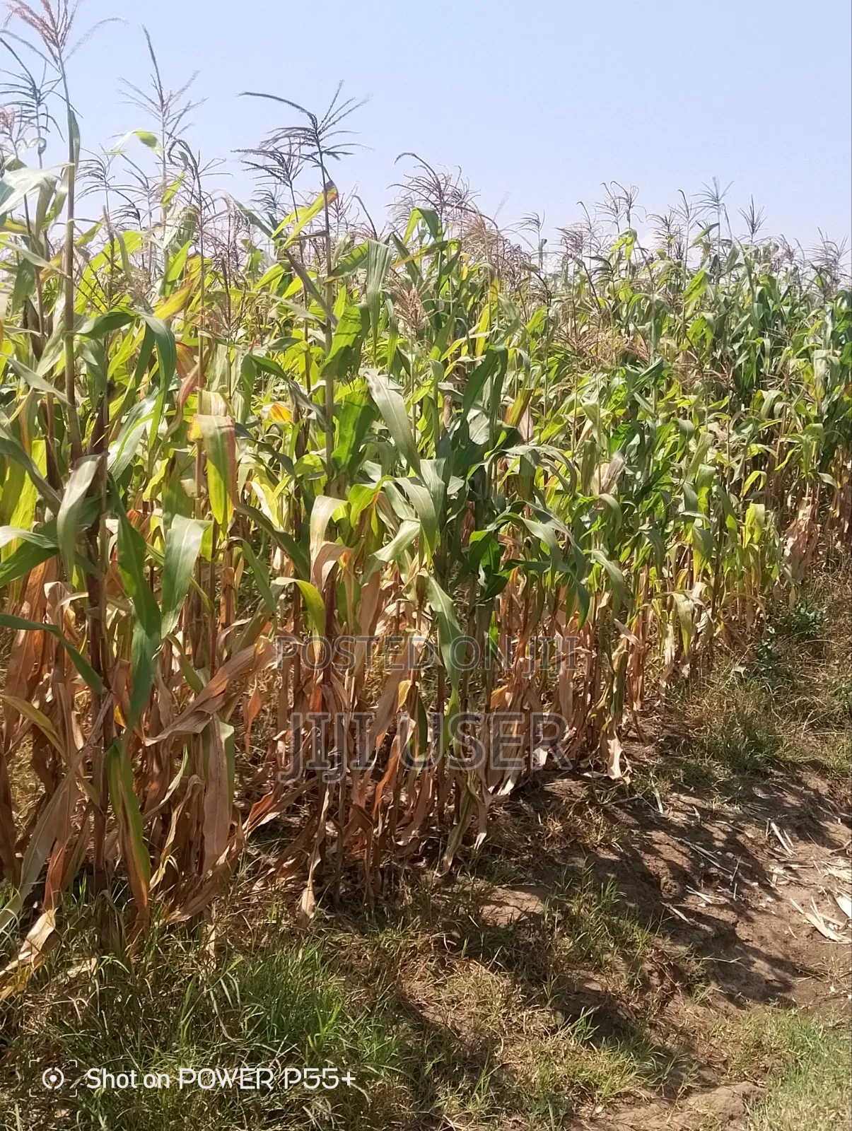 Prime Land for Sale-Mosiro Narok in Narok Town