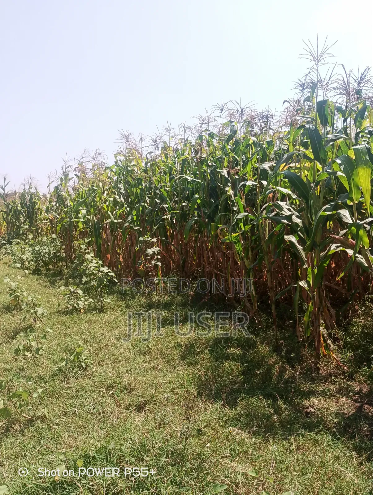 Prime Land for Sale-Mosiro Narok in Narok Town