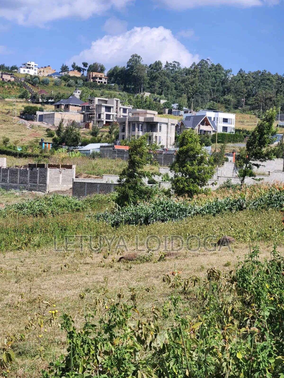 1⁄8 Acre Plots Ngong-Kibiko(windyridge) in Kibiku