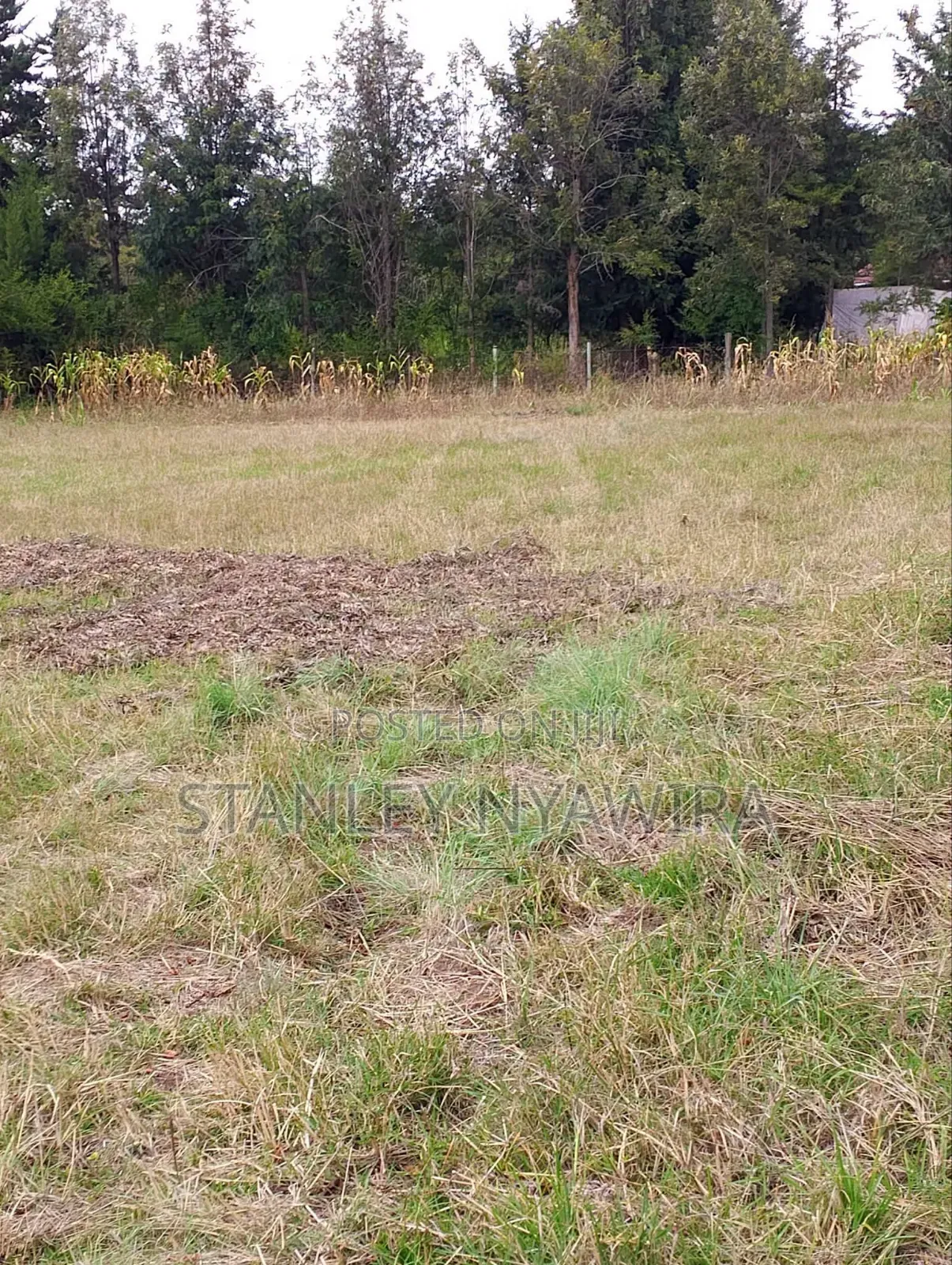 Half Acrea Nanyuki Kwa Huku in Nanyuki